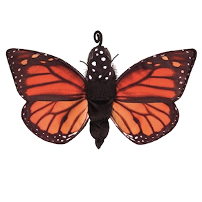 Schmetterling Metamorphose