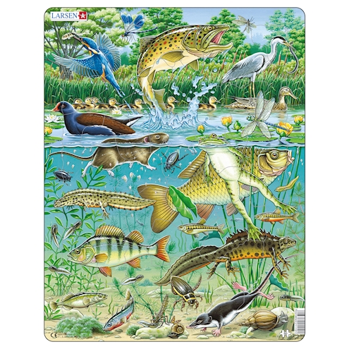 Tiere im Teich, Puzzle 50 Teile