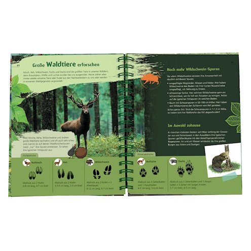 Das Wald-Forscherbuch