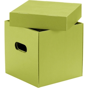 Karton-Box mit Deckel, 6 Stück grün, B16,8x H16,5 x T17,5 cm
