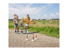 Ringwurfspiel Vögel