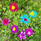 K19.007.003H - Krepp-Papier-Blumen