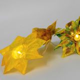 K16.011.001H - Lichterkette Sterne