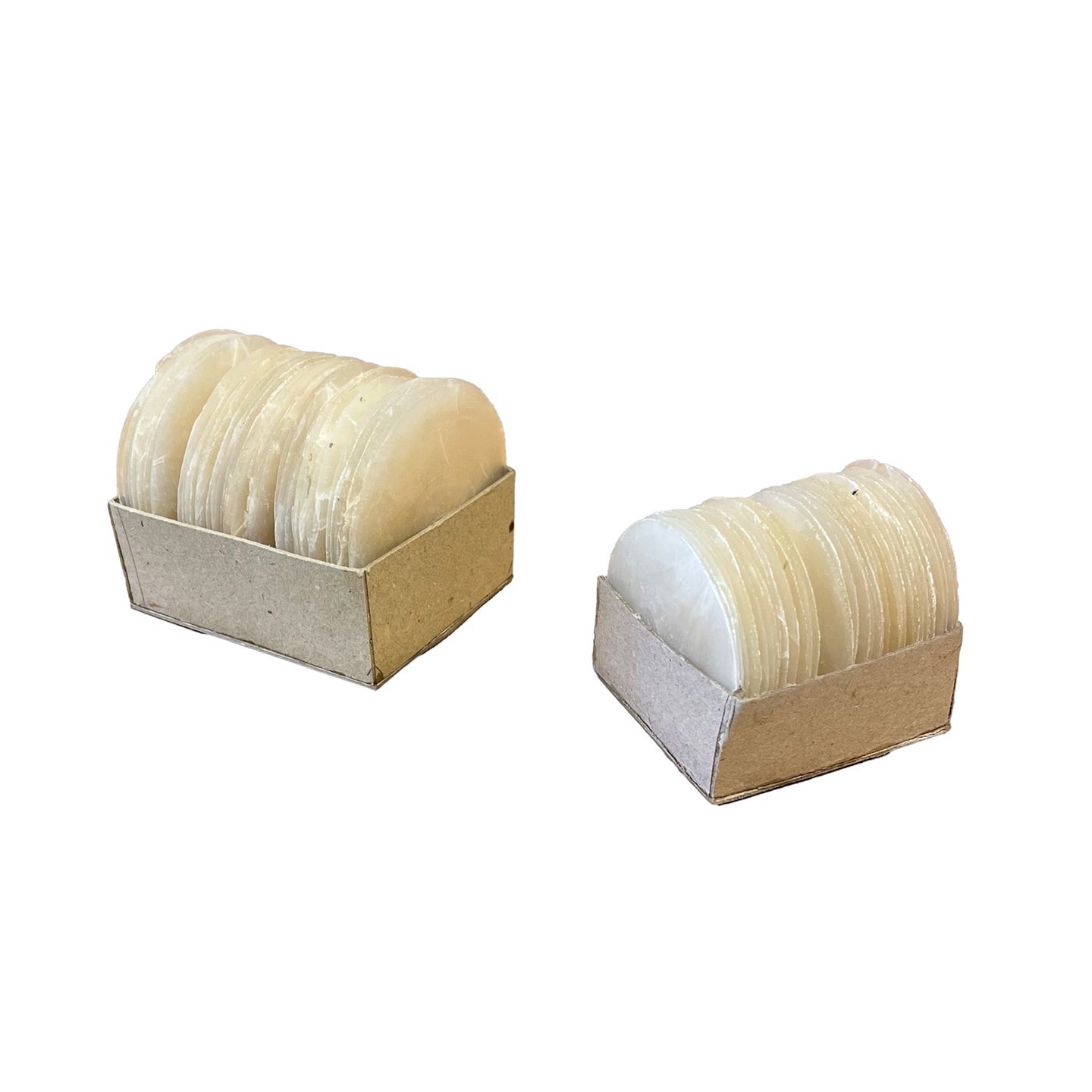 Muschelscheiben Ø ca. 7.5 cm, 50 Stück in Box