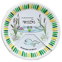 Lebenszyklus Frosch