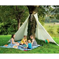 Baum-Tipi