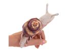 mini Schnecke Fingerpuppe