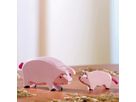 Schwein