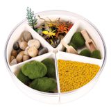 119.505.600 - Sensorik-Kasten Insekten