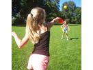 Scoop Ball