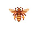 Magnetpuzzle Insekten 6er Set