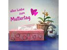 Kosmetiktücherbox