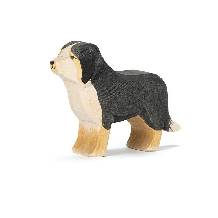 Berner Sennenhund