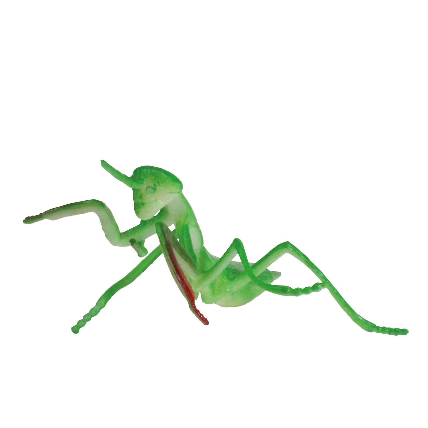 Modell Insekten & Co.
