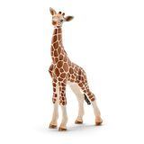 102.316.310 - Giraffenbaby