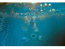 Diving Memo