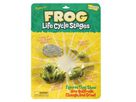 Lebenszyklus Frosch