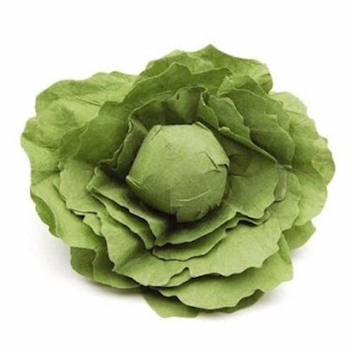 Salatkopf
