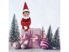 Elf on the Shelf