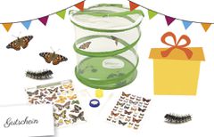 119.115.110 - Zuchtset Schmetterling