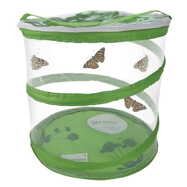 Zuchtset Schmetterling