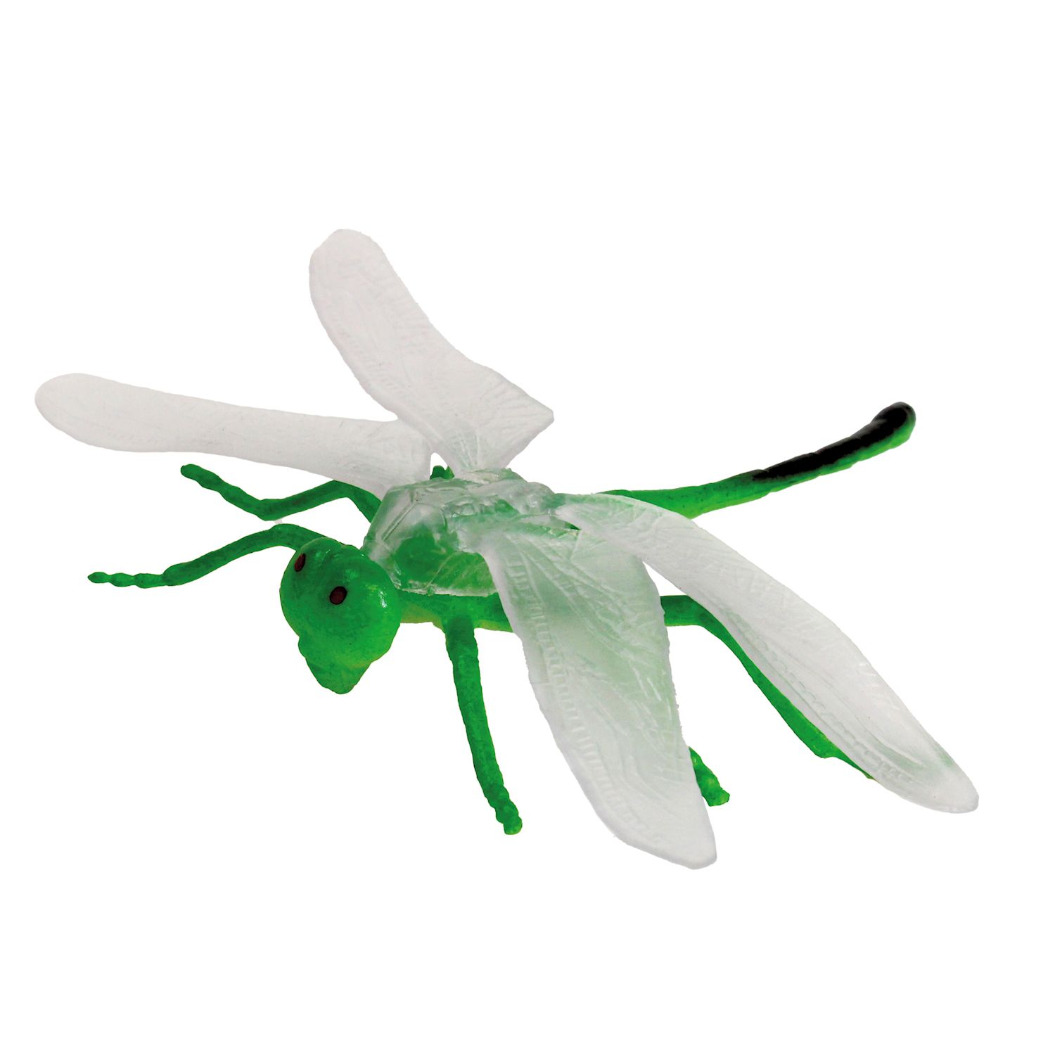 Modell Insekten & Co.