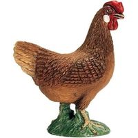 Huhn braun