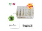 Nachbestell-Gutschein Marienkäfer-Larven