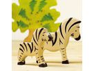Zebra stehend