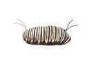 Schmetterling Metamorphose Handpuppe 56 cm