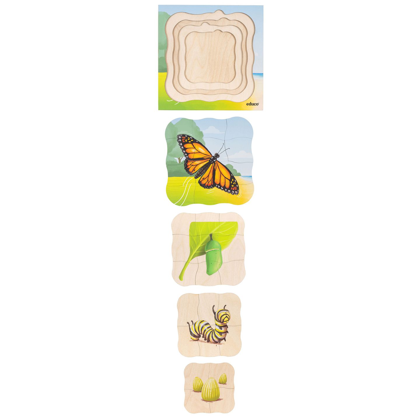 Lagenpuzzle Schmetterling