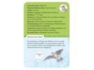 50 heimische Vögel, Lernkarten