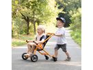 Buggy TopTrike