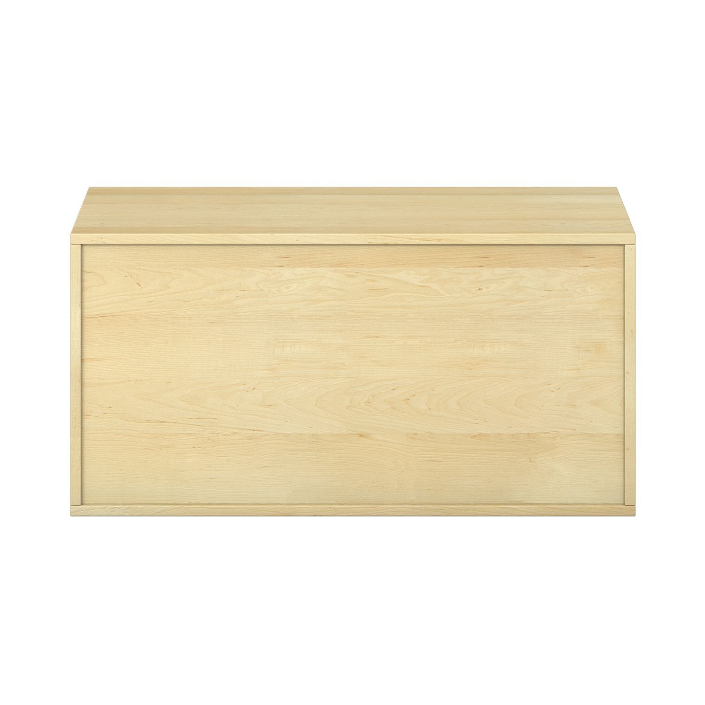 Pureo Doppeltürenschrank Furnier, mit 1 Einlegeboden, B 100 x H 50 x T 60 cm