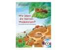 Wie leben die kleinen Waldameisen?