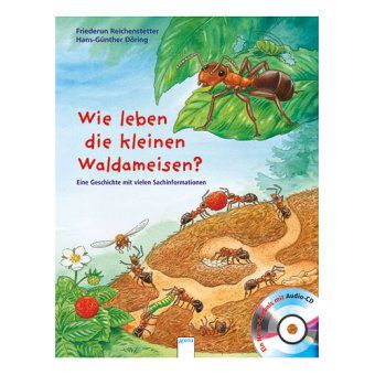 Wie leben die kleinen Waldameisen?