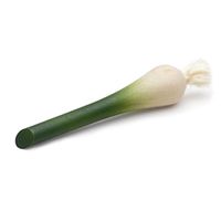 Frühlingszwiebel