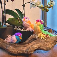 Bunte Wollvögel