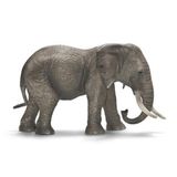 102.317.600 - Afrikanische Elefantenkuh