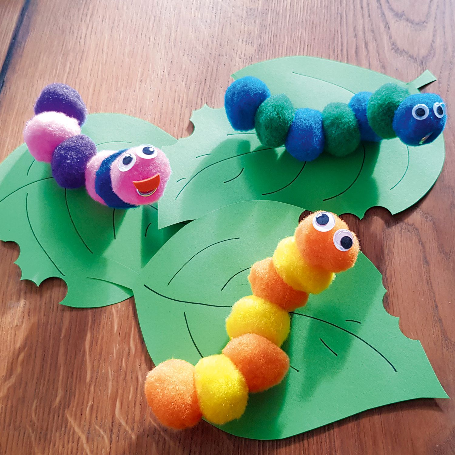 Pompon-Raupen