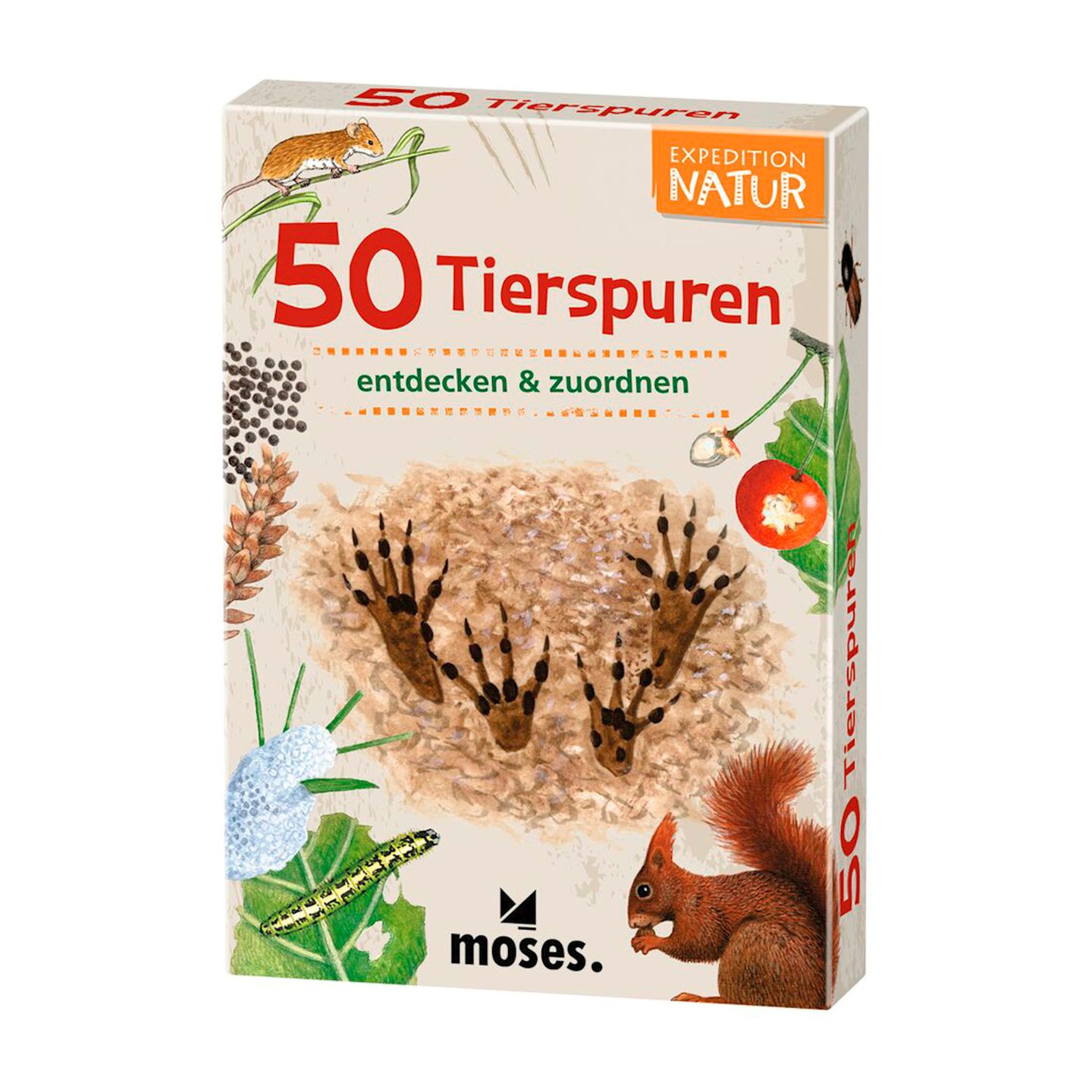 50 Tierspuren Lernkarten