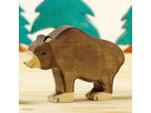 Braunbär