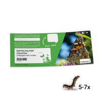Nachbestell-Gutschein Schmetterlings-Raupen