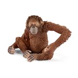 102.316.900 - Orang-Utan