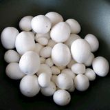 232.200.100 - Watte-Eier, 24 - 50 mm, 50 Stk.