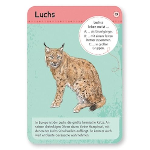 50 heimische Wald- & Wildtiere Lernkarten