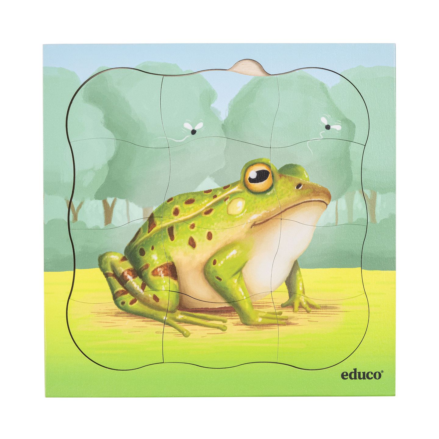 Lagenpuzzle Frosch