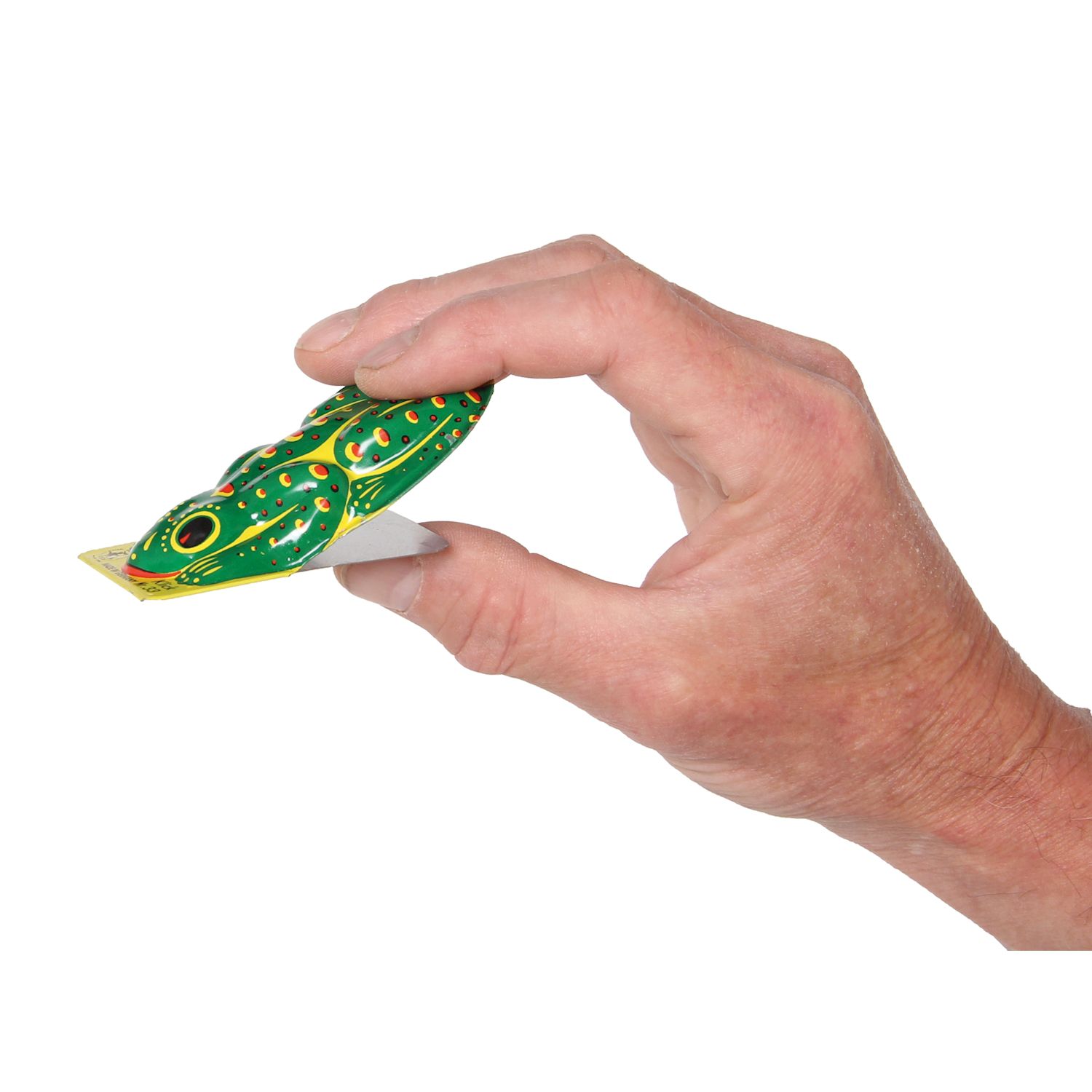 Knackfrosch