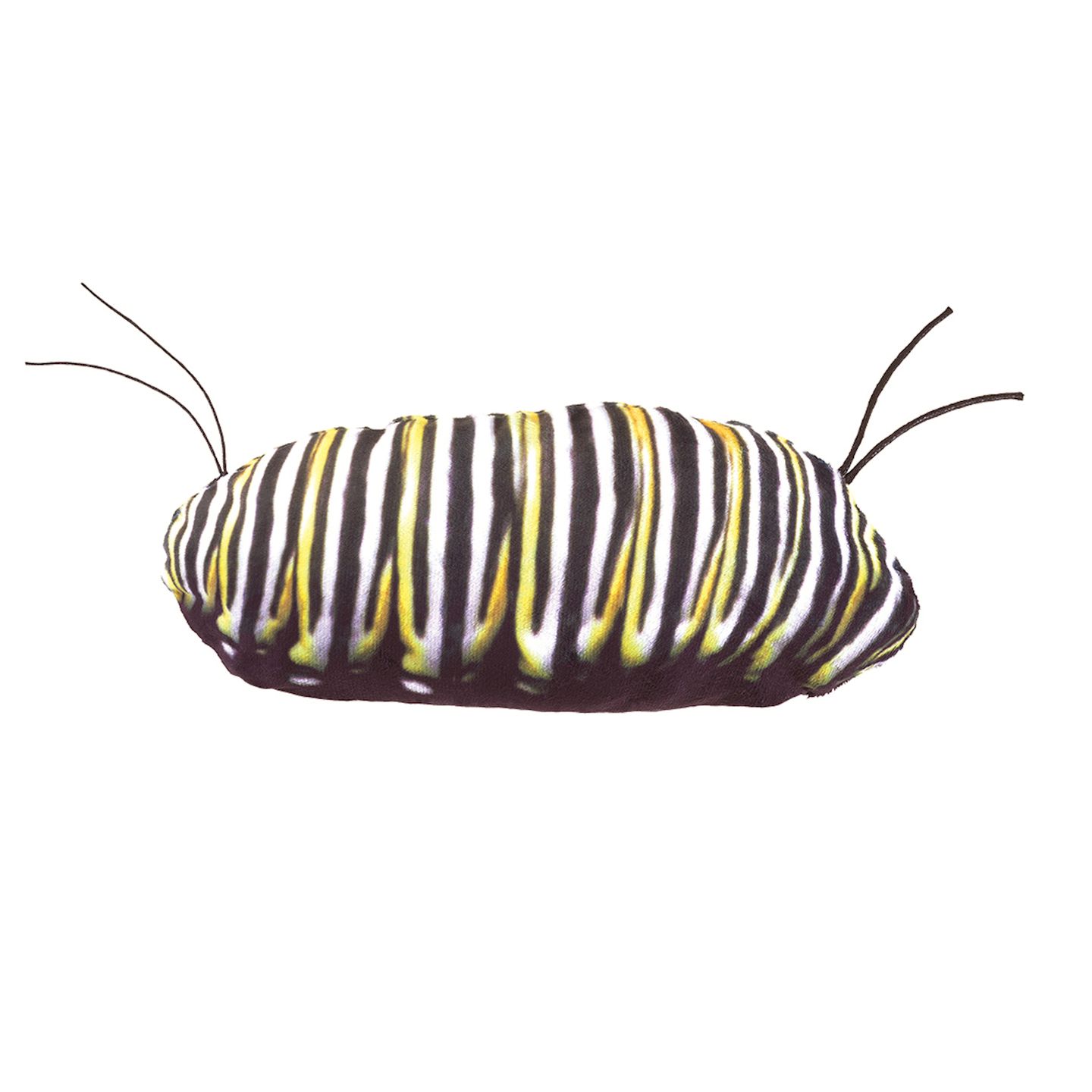 Schmetterling Metamorphose Handpuppe 56 cm