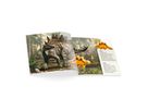 Dinosaurier-Bande Kindergartenpackung